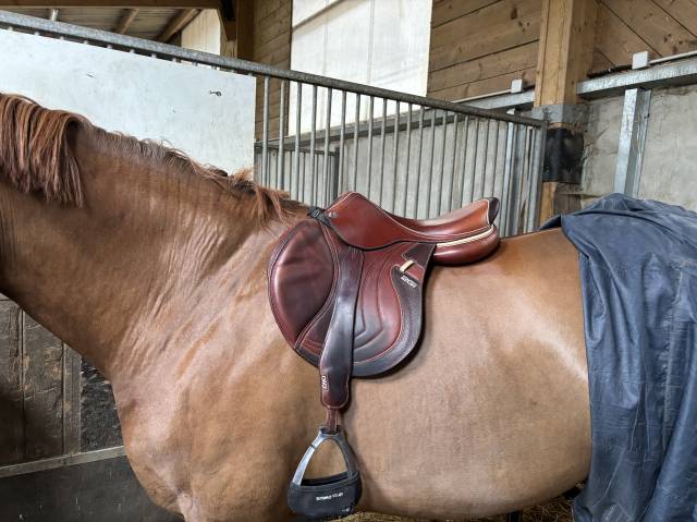 Cwd 2gs Mademoiselle