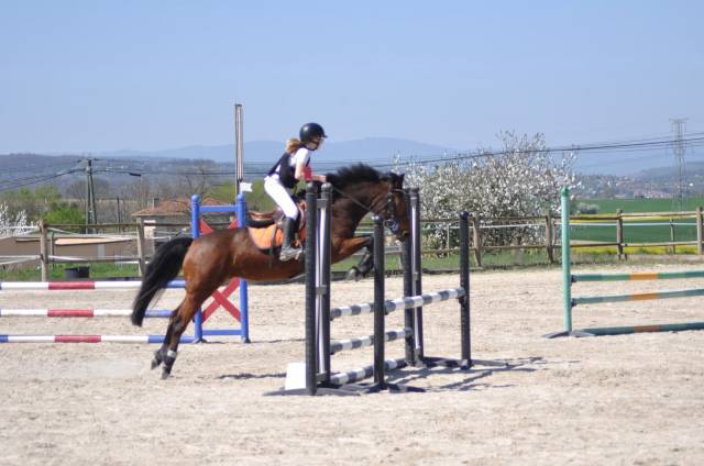 Ponette 11 ans pour démarrer les concours