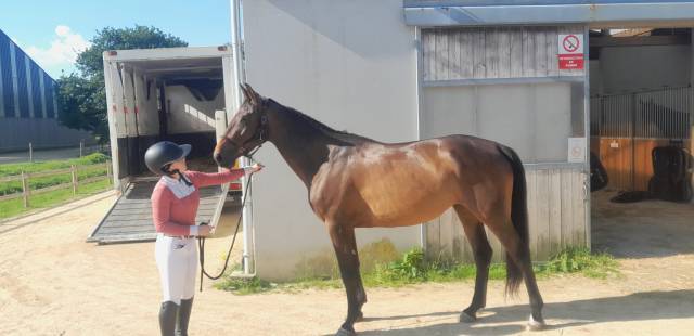 A vendre lady des moulins 5 ans