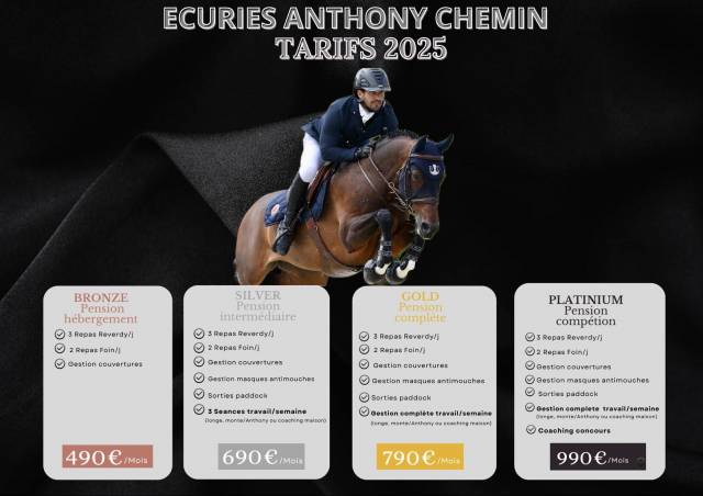 Pension chevaux formation / compétition 