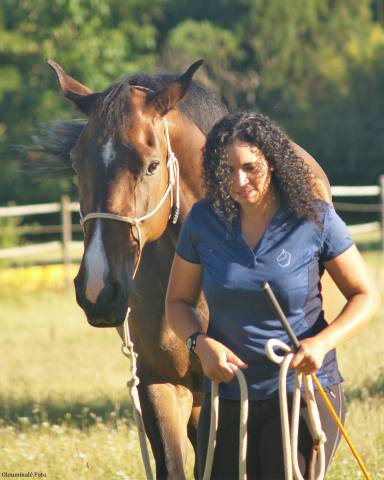 Cours / travail du cheval - équitation éthologique