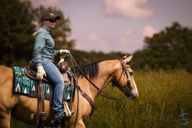 Hongre paint horse 10 ans
