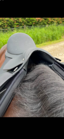 Selle wintec 500 hart mixte avec arcade interchangeable