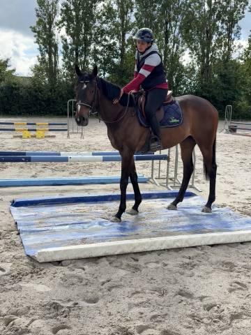 Top jument loisirs-balade-competition