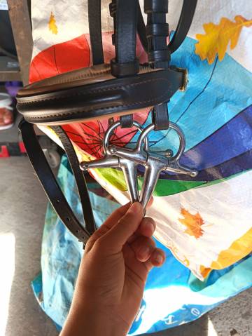 Bridon ,pour mini 