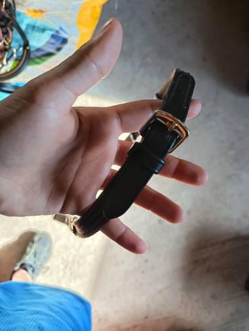 Bridon ,pour mini 