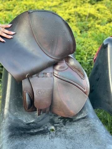 Selle CWD