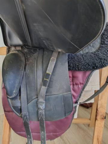 Selle de dressage Wintec Isabelle Werth CAIR. 43 cm - 17''