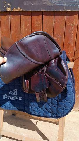selle prestige Xperience lux 2021