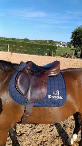 selle prestige Xperience lux 2021
