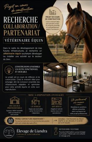 Collaboration vétarinaire equin