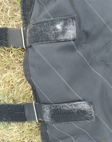 Couverture d'ext&eacute;rieur Horseware Amigo Bravo/couvre cou