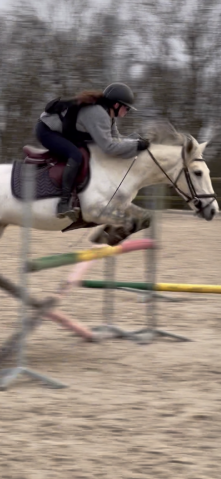 Poney c à vendre