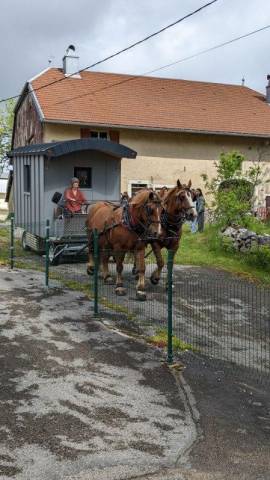 Service civique groom de roulotte et animateur.trice na