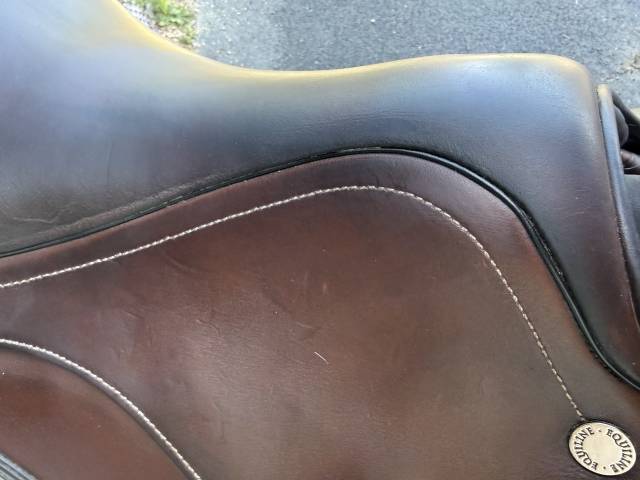 Selle d&rsquo;&eacute;quitation mixte 