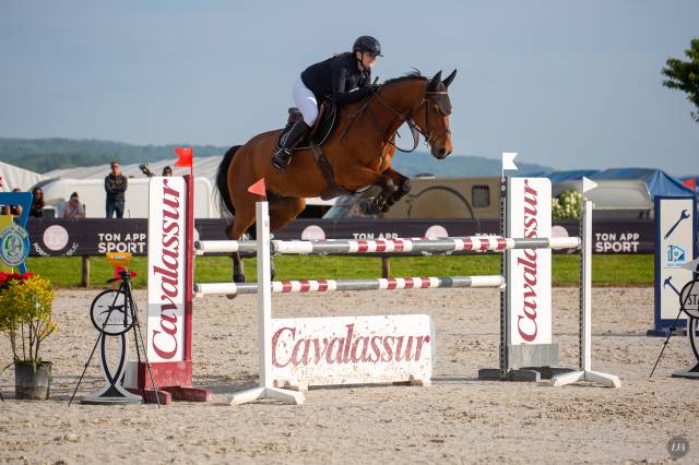 Hongre 12 ans - cso amateur 1
