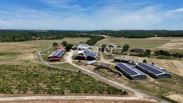 Exploitation élevage ovin et viticulture aoc cahors sur 83 ha
