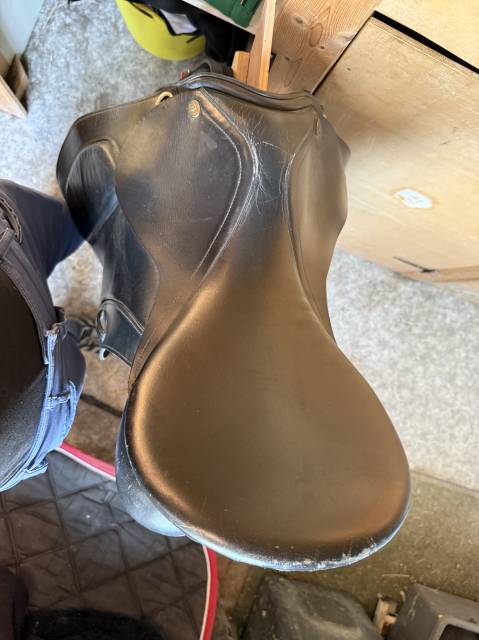 Selle dressage cuir noir 