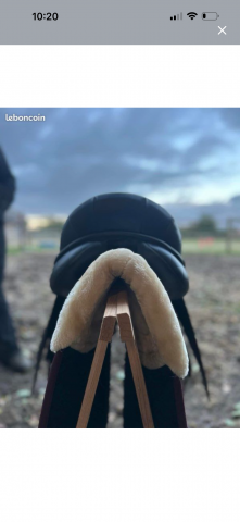 Selle dressage 