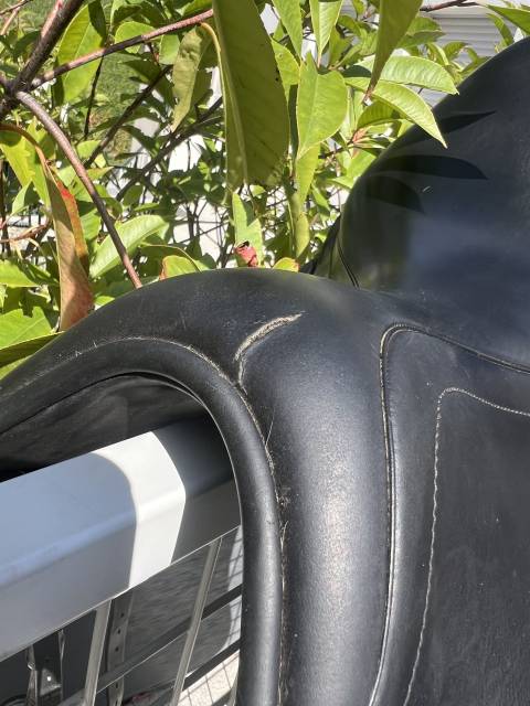 Selle de dressage &Eacute;quipe Viktoria 17,5