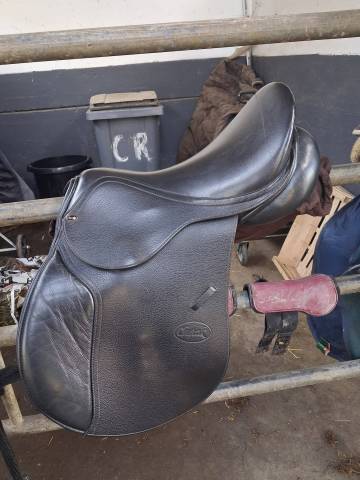 Selle 16,5 mixte 