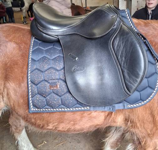 Selle 16,5 mixte 