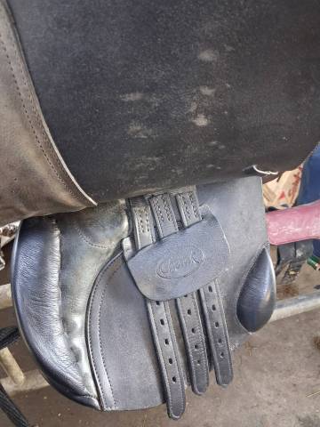 Selle 16,5 mixte 