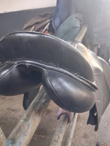 Selle 16,5 mixte 