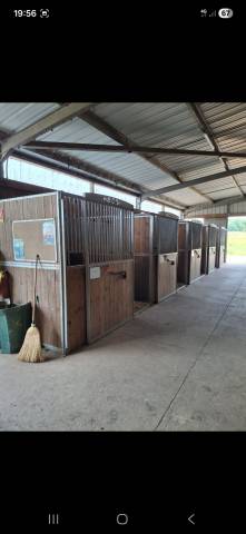 Boxes 