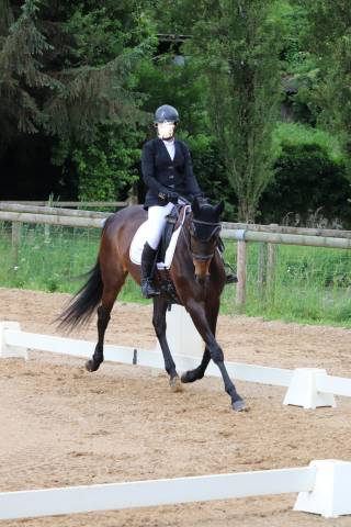Jument 15 ans cso/cce