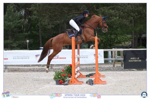 Top cheval de 10 ans 
