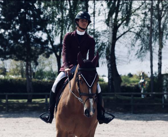 Super hongre de 9 ans par untouchable 27// quidam de revel 