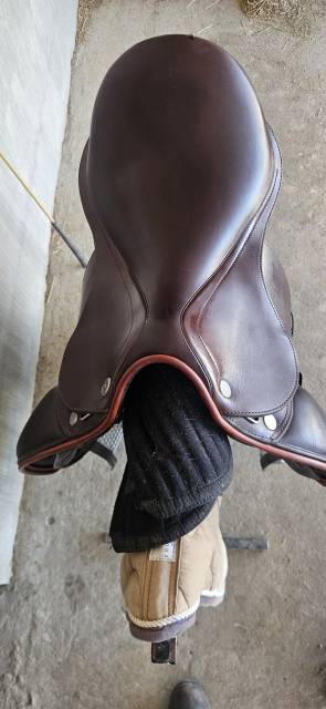 Selle dressage D1 Prestige 