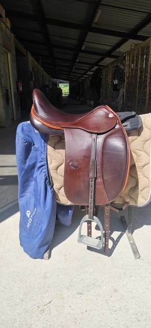 Selle dressage D1 Prestige 