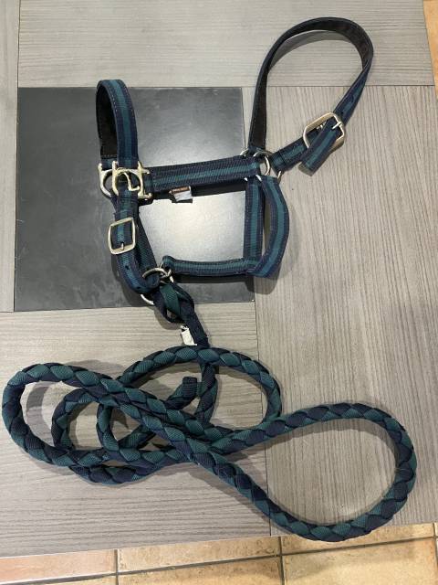 Licol avec longue géologic bleu vert taille petit cheva