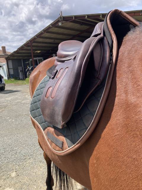 Selle GBS CSO 