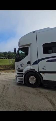 Camion de transport de chevaux – longue distance