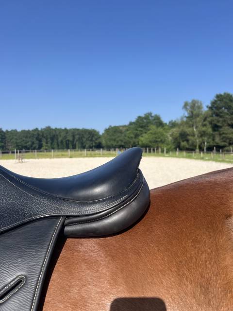 Selle noir 