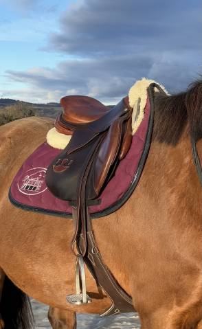 Selle Bruno Delgrange 17,5
