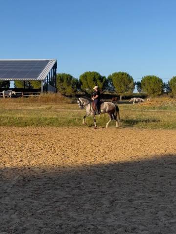 à vendre pre pp 6 ans 