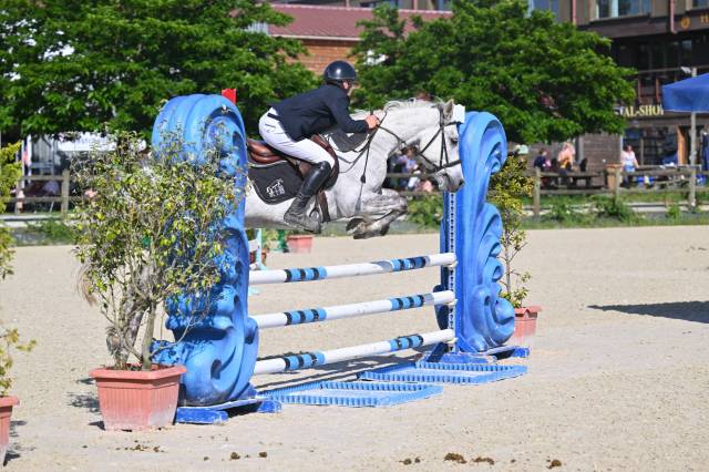 Poney en or à vendre