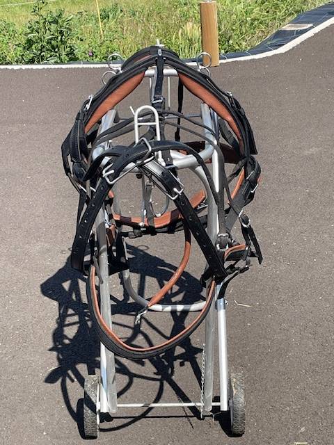 Harnais Zilco poney 1m30 Webzeb solo ou paire