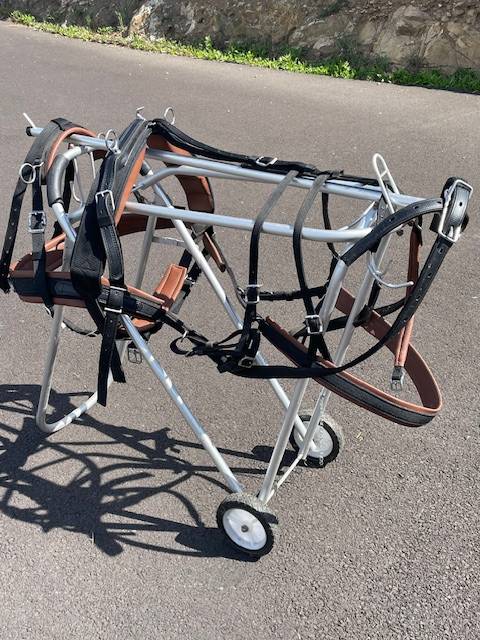 Harnais Zilco poney 1m30 Webzeb solo ou paire