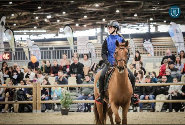 Top poney de sport