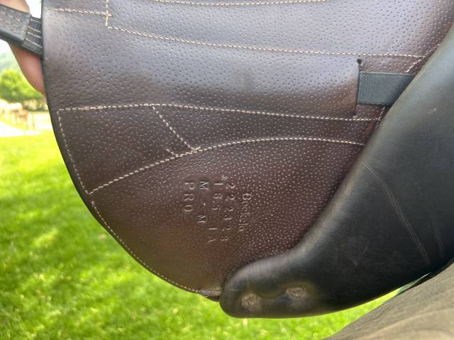 Selle Forestier Boeckelo