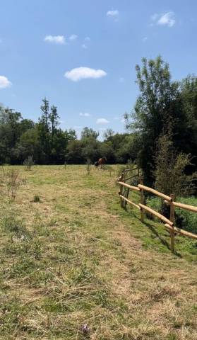 Pension chevaux au pré - les petites moustaches - chalandray