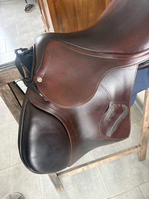 Selle antares connexion 