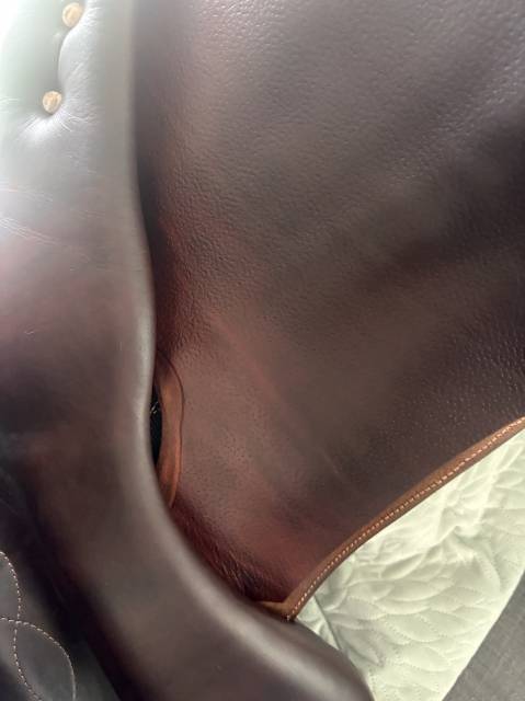 Selle Antares Connexion 
