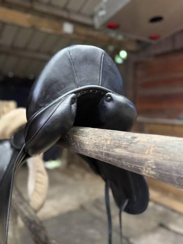 Selle childeric DHE