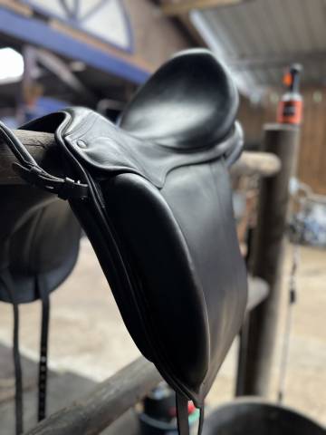 Selle childeric DHE
